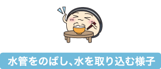 しじみの販売 宍道湖のしじみを扱うイトハラ水産 島根県松江市の宍道湖畔のしじみの学校 しじみってどんな生物なの