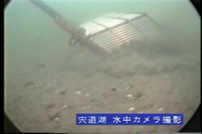 しじみの販売 宍道湖のしじみを扱うイトハラ水産 島根県松江市の宍道湖畔のしじみの学校 しじみってどんなところに生息しているの